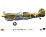 Curtiss P-40E Prisoner of war 1:48 hasegawa HASSP304