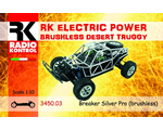 Automodello Brushless Desert Truggy 4WD 1:10 2,4 GHz RTR radiokontrol RKO3450-03